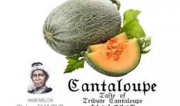 喝酒后吃瓜蜜瓜,酒后蜜瓜解腻新体验