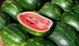 吃瓜小新鲜,揭秘娱乐圈幕后故事