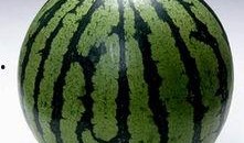 吃瓜图片最新,一场视觉盛宴背后的故事