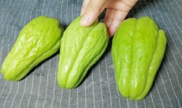 吃佛手瓜有什么好处,健康生活的绿色选择