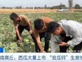 吃瓜爬山援,吃瓜群众登山探险记
