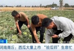 吃瓜爬山援,吃瓜群众登山探险记