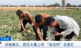 吃瓜爬山援,吃瓜群众登山探险记