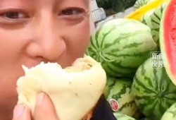 吃瓜跟工作,平衡娱乐与职业发展的智慧之道