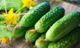 冬至可以吃瓜,暖意融融的冬日美食新风尚