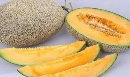 哈密瓜和黄瓜一起吃吗,营养互补的奇妙组合