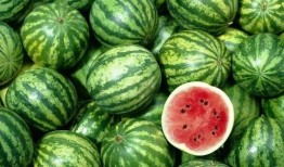 吃瓜多思考,从娱乐八卦中洞察社会现象