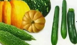 吃瓜燕山,揭秘燕山地区的美食传奇