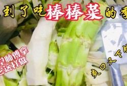 考教师编制吃瓜,吃瓜群众也能轻松掌握的备考攻略