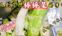 考教师编制吃瓜,吃瓜群众也能轻松掌握的备考攻略