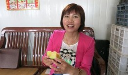 吃瓜最美女记者