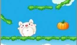 编程吃瓜兔,揭秘编程界的趣味与智慧