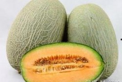 湿疹吃哈密瓜,哈密瓜助力缓解不适