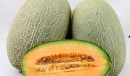 湿疹吃哈密瓜,哈密瓜助力缓解不适