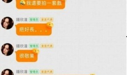 吃瓜视频vs粉丝,揭秘网络舆论背后的故事