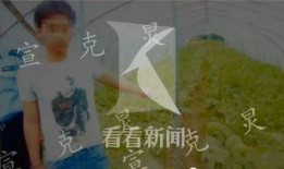 偷瓜村吃瓜群众被抓视频,一场乡村闹剧的直播记录