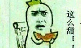 瓜瓜吃瓜好词好句,乐享好词好句盛宴