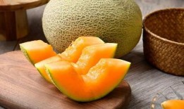 剑羚吃哈密瓜,自然界的和谐画卷