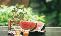 吃瓜与喝茶,品味生活，洞察世间百态