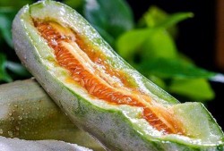 吃脆瓜口腔溃疡,揭秘饮食与健康平衡之道