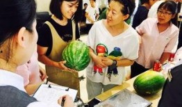 吃瓜群众3339,一场全民参与的娱乐盛宴