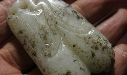 孕期可以吃白玉瓜,白玉瓜助力母婴健康