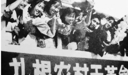 下乡知青吃瓜,下乡知青的夏日瓜香记忆