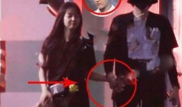 吃瓜视频vs粉丝,揭秘网络舆论背后的故事