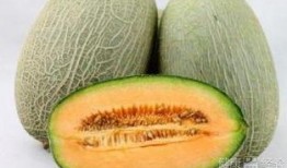 梦见与同事吃哈密瓜,与同事共享哈密瓜的温馨瞬间