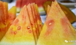 濮阳哪里可以吃瓜,探寻当地特色美食之旅