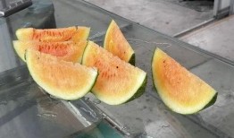 农村夏天吃瓜,农村夏天的甜蜜记忆