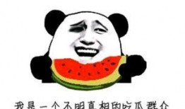 吃瓜牛的博主,网红博主背后的故事与影响力