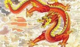 志龙吃瓜,揭秘娱乐圈幕后故事