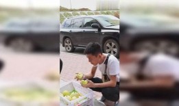 农村小伙摘瓜吃瓜视频,农村小伙摘瓜吃瓜，共享田园生活乐趣