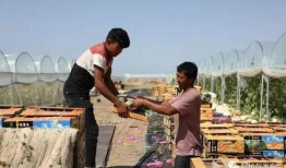 吃瓜群众准备就位,揭秘娱乐圈最新热点！