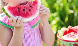 吃瓜宝宝的日常