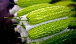 怀孕吃凉瓜吗,凉瓜在孕期食用是否适宜