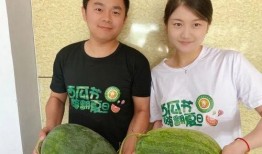 沙河吃瓜的视频,揭秘网络热传视频背后的故事