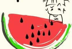 吃瓜扇怎么画,揭秘吃瓜扇的绘制艺术