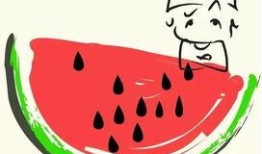 吃瓜扇怎么画,揭秘吃瓜扇的绘制艺术