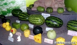 十三吃瓜,揭秘娱乐圈背后的那些事儿