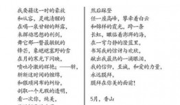 冰心吃瓜,品味人生百态，感悟岁月静好