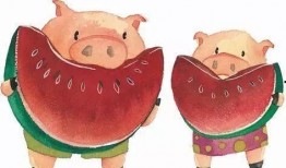 吃瓜多思考,从娱乐八卦中洞察社会现象