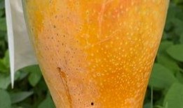 辽宁台吃瓜,揭秘娱乐圈背后的故事