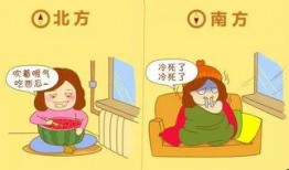 冬天吃瓜冷