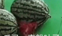 吃瓜看新闻,吃瓜群众视角下的时事新闻盘点