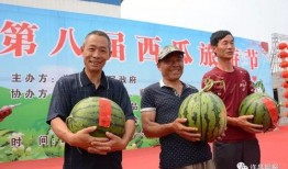 河南许昌疫情吃瓜,吃瓜群众视角下的防疫战记”