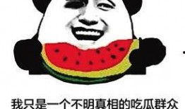 吃瓜群众组口号,揭秘娱乐圈幕后风云