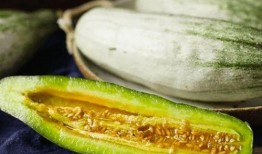 湿瓜咋吃,湿瓜的多样食用方法与美味探索