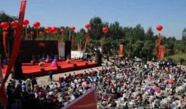 禹城市吃瓜,探寻当地特色美食之旅